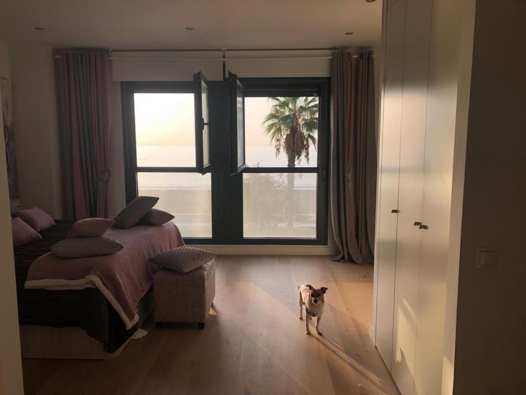 Malaga Paraiso Frente Al Mar Apartment Ngoại thất bức ảnh